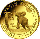 1 Unze Gold Somalia Elefant 2024