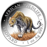 1 Unze Silber African Wildlife Leopard 2023 (Auflage: 5.000 | coloriert)