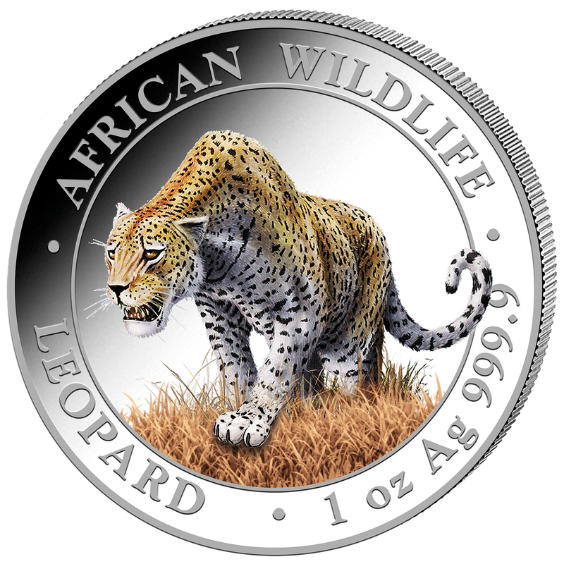 1 Unze Silber African Wildlife Leopard 2023 (Auflage: 5.000 | coloriert)
