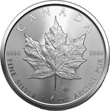 100 x 1 Unze Silber Maple Leaf 2023