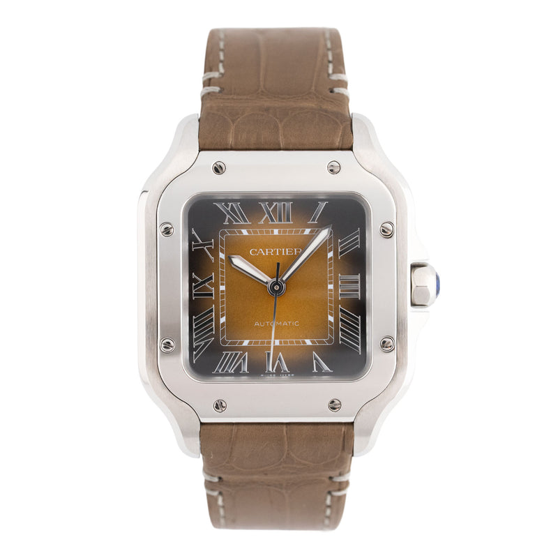 Santos Medium Brown Dial  - WSSA0065