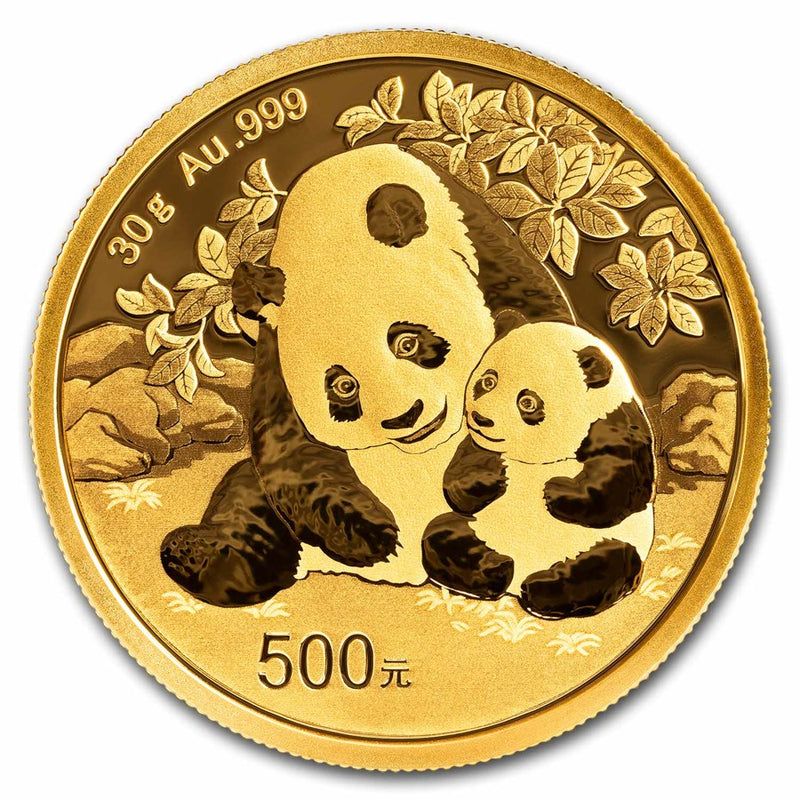 30g Gold China Panda 2024