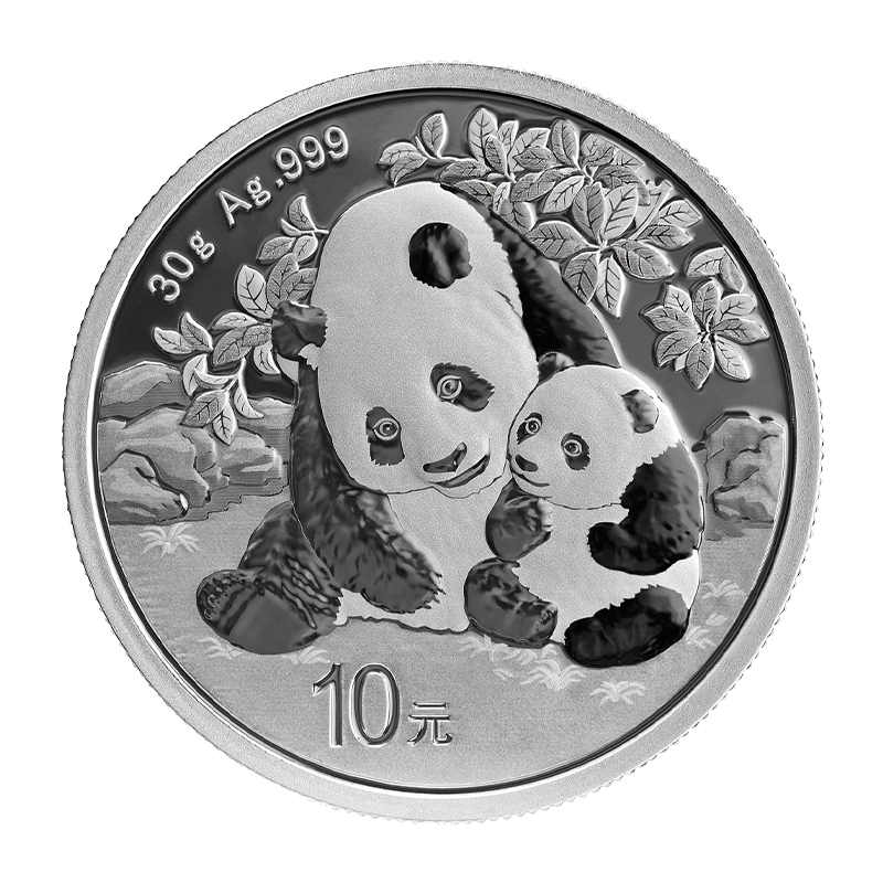 30g Silber China Panda 2024