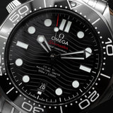 Seamaster Diver 300M Black Dial 2025 - 210.30.42.20.01.001