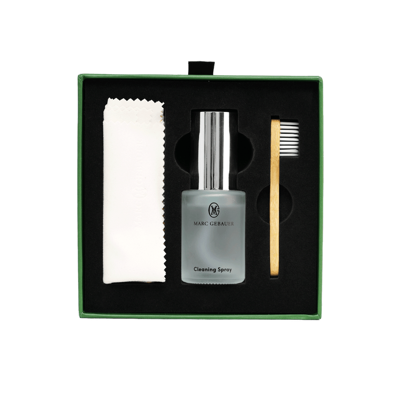 Professional Watch Cleaning Kit